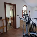 Agava * Ουμάγκ