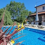 Agava *